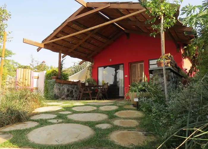 The Green And Red Cabins